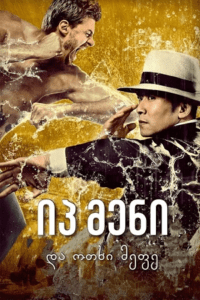 Ip Man and Four Kings (2021) WEB-DL Dual Audio {Hindi-Chinese} 480p - 720p - 1080p poster