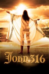 John, 316 (2021) Dual Audio {Hindi-English} WEB-DL 480p - 720p - 1080p poster