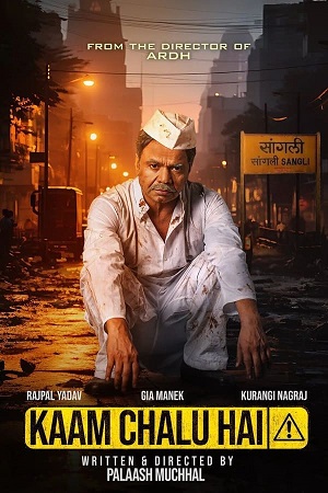 Kaam Chalu Hai (2024) poster