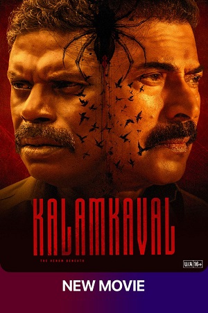 KalamKaval (2025) Dual Audio [Hindi ORG + Malayalam] WeB-DL 480p - 720p - 1080p poster
