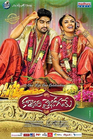 Kalyana Vaibhogame (2016-2023) WEB-DL Hindi-Dubbed (ORG) UnCut Full Movie 480p - 720p - 1080p poster
