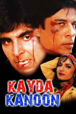 Kayda Kanoon (1993) poster