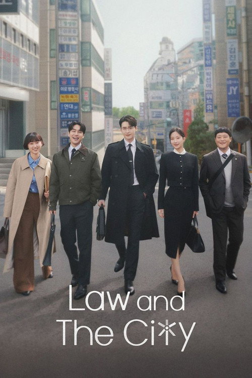 Law and the City (Season 1) Dual Audio {Hindi-Korean} K-Drama Series 480p 720p & 1080p WEB-DL poster