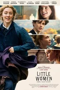 Little Women (2019) Dual Audio {Hindi-English} 480p - 720p - 1080p poster