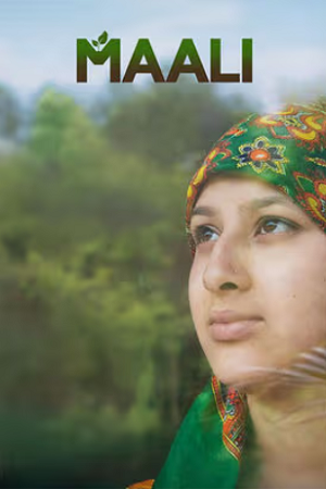 Maali (2025) Hindi Full Movie WEB-DL 480p - 720p - 1080p poster