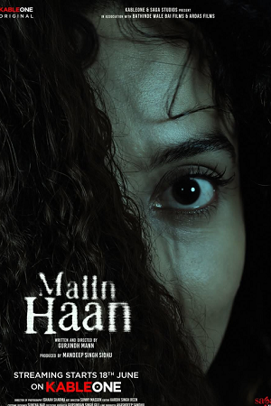 Maiin Haan (2026) Hindi Full Movie WEB-DL 480p - 720p - 1080p poster
