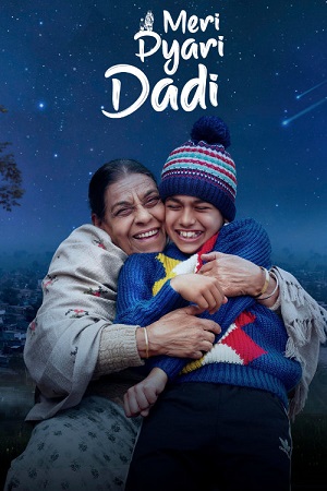 Meri Pyari Dadi (2025) Punjabi (DD5.1) Full Movie WEB-DL 480p - 720p - 1080p poster