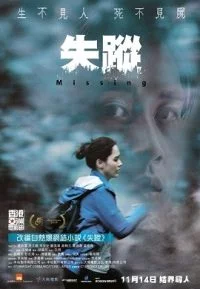 Missing (2019) Dual Audio Hindi BluRay 480p - 720p poster