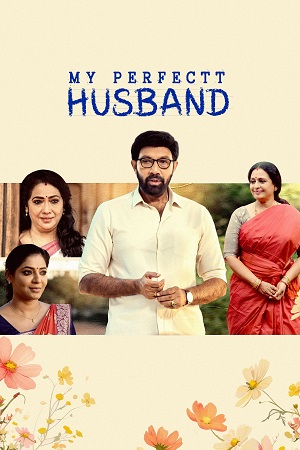 My Perfectt Husband (2024) Hindi Season 1 Complete Hotstar Special WEB Series 480p - 720p - 1080p WEB-DL poster