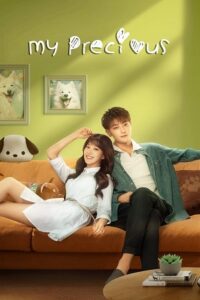 My Precious (Season 1) Dual Audio {Hindi ORG-Chinese} Series 480p - 720p - 1080p WEB-DL poster