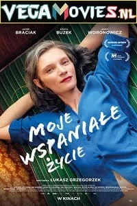 My Wonderful Life (2022) {English With Subtitles} 480p - 720p - 1080p poster