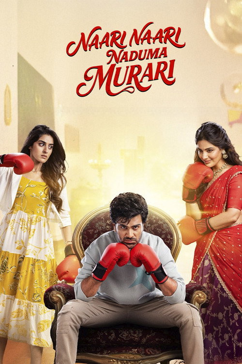 Naari Naari Naduma Murari (2026) poster
