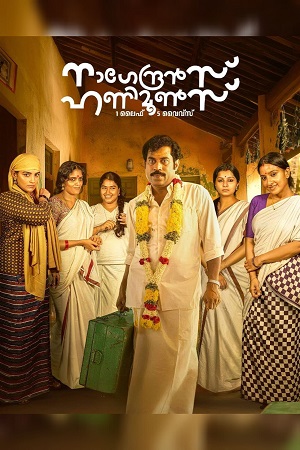 Nagendrans Honeymoons (2024) Season 1 Complete [Hindi DD5.1] DSNP WEB Series 480p - 720p - 1080p WEB-DL poster