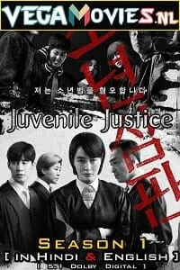 Juvenile Justice – Netflix Original (2022) Season 1 Dual Audio {Hindi-English} 480p - 720p - 1080p WEB-DL poster