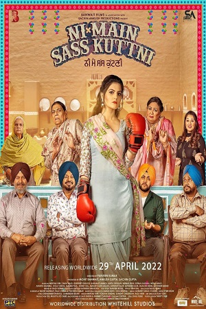 Ni Main Sass Kuttni (2022) CHTV WEB-DL Punjabi 480p - 720p - 1080p - 2160p 4K poster