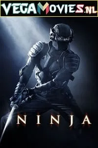 Ninja (2009) poster