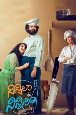 Ninnila Ninnila (2021) Zee5 Hindi Dubbed WebRip 480p - 720p - 1080p poster