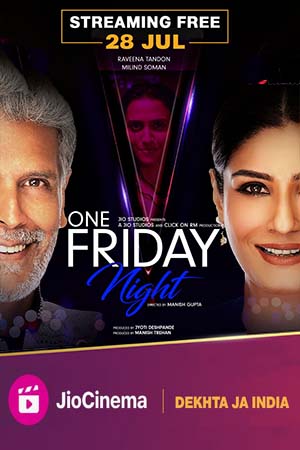One Friday Night (2023) Hindi DDP5.1 JC WEB-DL 480p - 720p - 1080p poster