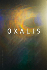 Oxalis – Bonded in Blood (2018) WEB-DL Dual Audio {Hindi-English} 480p - 720p - 1080p poster