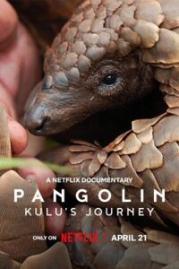 Pangolin: Kulu’s Journey (2025) poster