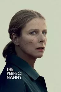 Perfect Nanny (2019) Dual Audio [Hindi + French] WeB-DL 480p - 720p - 1080p poster