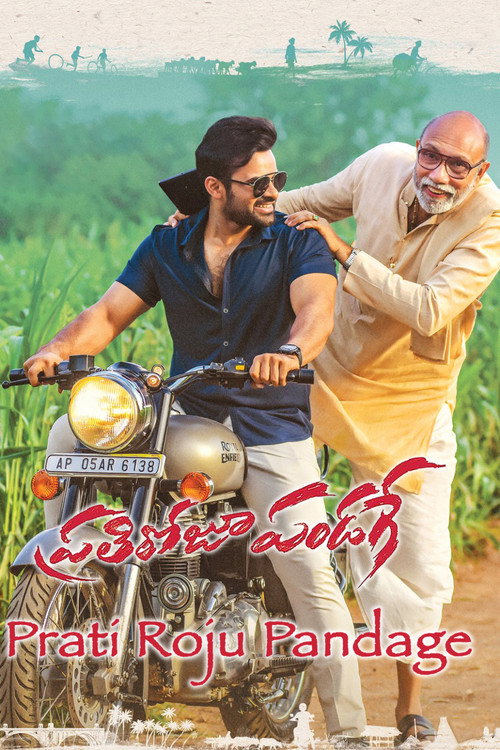 Prati Roju Pandaage (2019) Dual Audio [Hindi + Telugu] 480p - 720p - 1080p WeB-DL poster