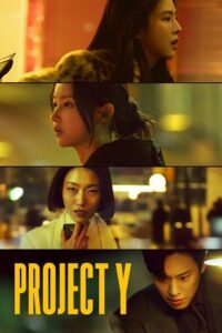 Project Y (2025) WEB-DL Dual Audio {Hindi-Korean} 480p - 720p - 1080p poster