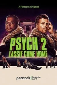 Psych 2 (2020) Dual Audio {Hindi-English} 480p - 720p poster