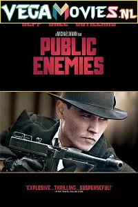 Public Enemies (2009) Dual Audio {Hindi-English} 480p - 720p - 1080p poster