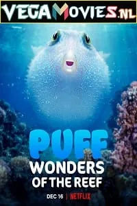 Puff: Wonders of the Reef (2021) Dual Audio {Hindi-English} 720p HDRip poster