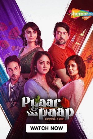 Pyaar Yaa Paap (Season 1) Hindi Complete SM WEB-DL Series 480p - 720p - 1080p poster