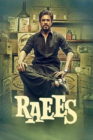 Raees (2017) Hindi Full Movie 480p - 720p - 1080p poster