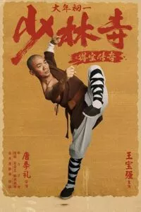 Rising Shaolin: The Protector (2021) HDRip Dual Audio {Hindi-Chinese} 480p - 720p poster