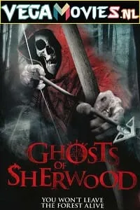 Robin Hood Ghosts of Sherwood (2012) Dual Audio {Hindi-English} 480p - 720p poster