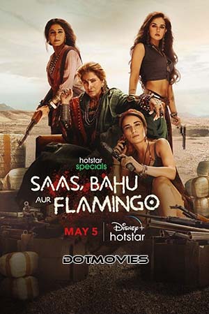 Saas Bahu Aur Flamingo (Season 1) Hindi Disney+ Hotstar Complete WEB Series 480p - 720p - 1080p WEB-DL poster