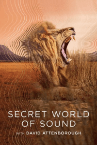 Secret World of Sound with David Attenborough – S01 (2024) poster