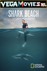 Shark Beach with Chris Hemsworth (2021) Dual Audio {Hindi-English} 720p HDRip poster