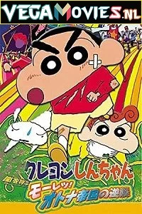 Shin Chan Masala Story The Movie (2001) Hindi Dubbed 480p - 720p poster