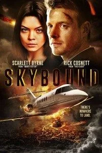 Skybound (2017) Dual Audio {Hindi-English} 480p - 720p BluRay poster