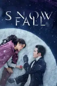 Snow Fall (Season 1) Dual Audio {Hindi-Chinese} Series 480p 720p & 1080p WEB-DL poster