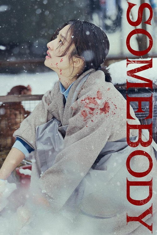 Somebody (2025) Dual Audio {Hindi-Korean} Amazon WEB-DL 480p - 720p - 1080p poster