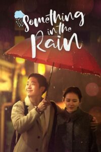 Something in the Rain (Season 1) Dual Audio {Hindi-Korean} Netflix Original WEB Series 480p - 720p - 1080p WEB-DL poster