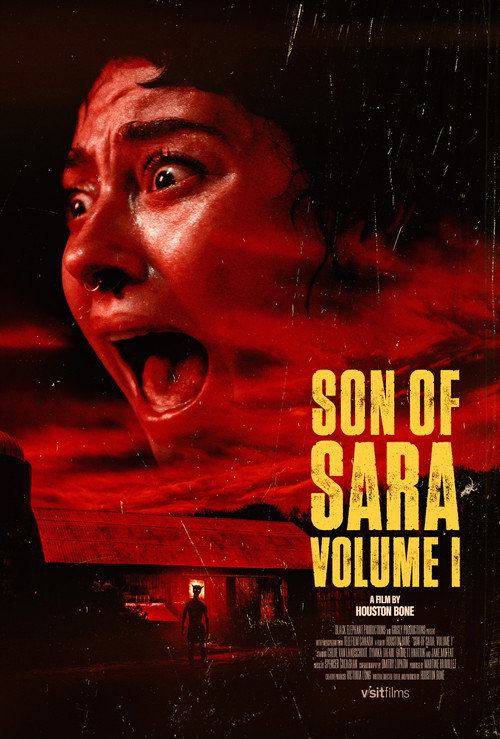 Son of Sara: Volume 1 (2025) WEB-DL Dual Audio {Hindi-English} 480p - 720p - 1080p poster