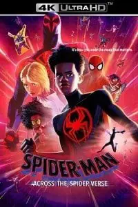 Spider-Man: Across the Spider-Verse (2023) poster