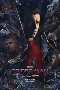 Spider-Man: No Way Home (2021) BluRay Dual Audio {Hindi-English} 480p - 720p - 1080p & 2160p 4K SDR – UHD HDR10 poster