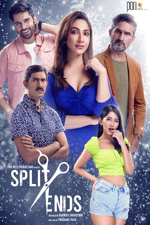 Split Ends (2021) Season 1 Hindi Complete MX Original WEB Series 480p - 720p HDRip poster