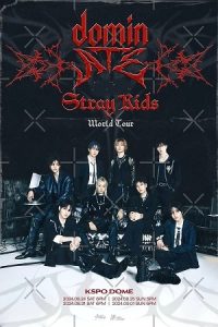 Stray Kids: The dominATE Experience (2026) poster