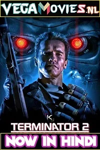 Terminator 2: Judgment Day (1991) Dual Audio {Hindi-English} 480p - 720p - 1080p poster