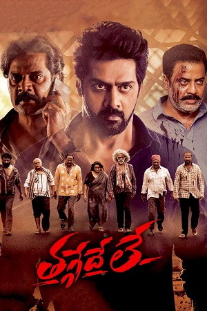 Thaggedhe Le (2022) Dual Audio [Hindi ORG. + Telugu] WEB-DL 480p - 720p - 1080p poster