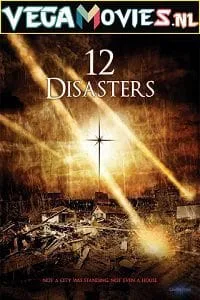 The 12 Disasters of Christmas (2012) poster